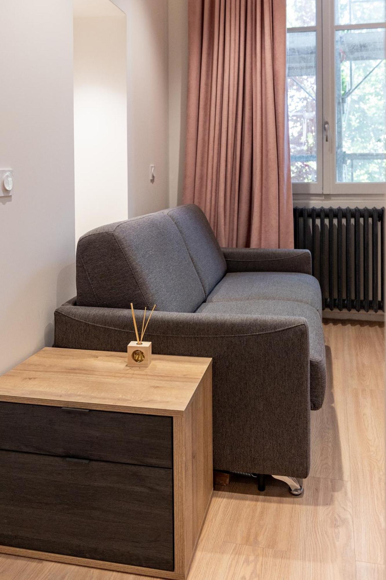 Croix Paquet - Appartements A Lione Esterno foto